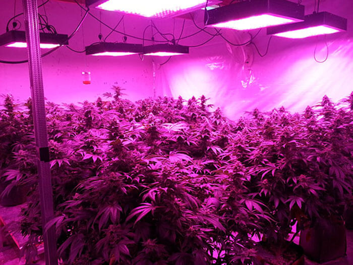 疫情之下,照明燈具企業如何求生